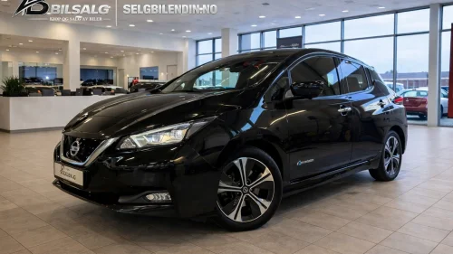 NISSAN Leaf 40kWh Topp-utgave/40kWh/Hel-Skinn/Tekna/360-kamera/Bose