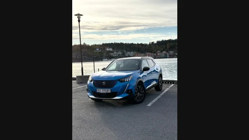 PEUGEOT 2008 e-2008 / DAB+ / GPS / Garanti / Naf