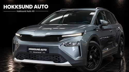 SKODA ELROQ 50 50/Rattvarme/Acc/R.kamera/Led/Carplay/Navi