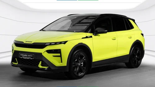 SKODA ELROQ RS RS 340hk //Maxx//LedMatrix//360kamera//Canton//DCC/Krok