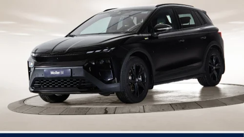 SKODA ELROQ RS RS - Canton, 360Kam, Matrix, HUD, Krok