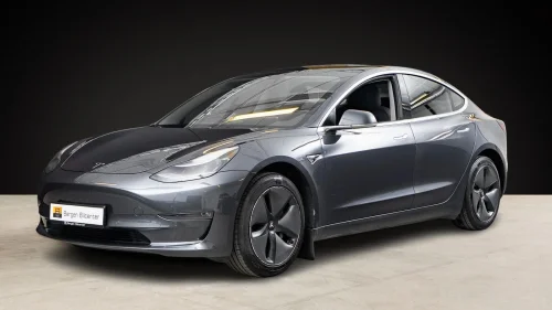 TESLA Model 3 Standard Range Plus Skinn Ryggekamera Hengefeste