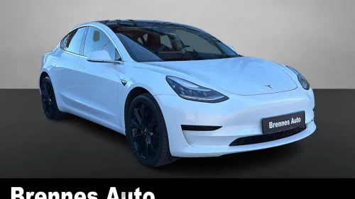 TESLA Model 3 Standard Range /Skinn/Navi/Panoramatak