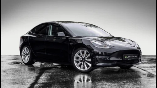 TESLA Model 3 Long Range ACC Panorama Kamera Skinn Autopilot