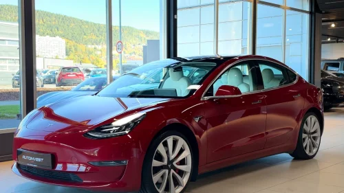 TESLA Model 3 PERFORMANCE AWD-AP-HVIT SKINN-NETFLIX-PANO-1EIER