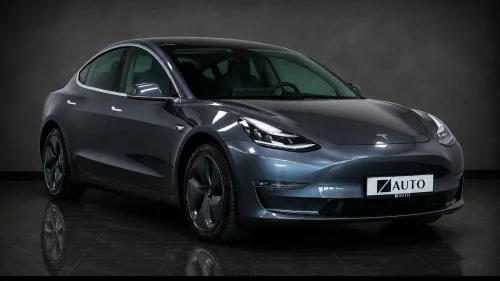 TESLA Model 3 LONG RANGE AWD/1EIER/PANO/SKINN/AUTOPILOT/PREMIUM/KROK