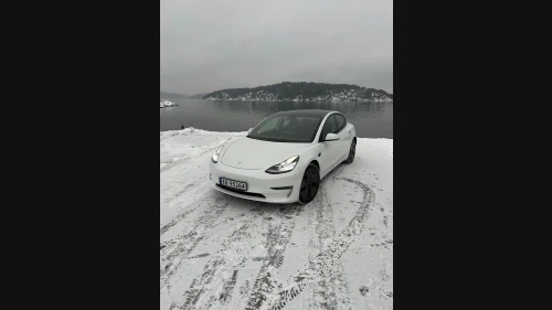 TESLA Model 3 LR AWD|AP|Skinn|Krok|Varmepumpe