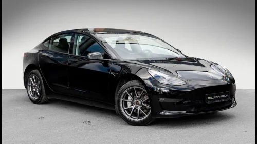 TESLA Model 3 AWD Dual Motor Long Range Autopilot Skinn
