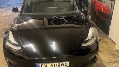 TESLA Model 3 Long Range AWD, Pano, Skinn