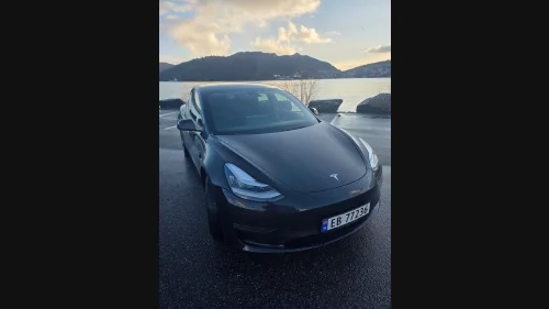TESLA Model 3 Long Range-AWD-Varmepumpe-Autopilot-Skinn-Hengerfeste