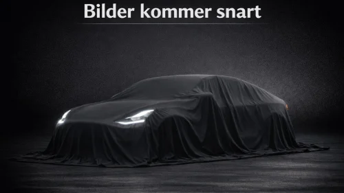 TESLA Model 3 Long Range / ACC / Facelift / Premium
