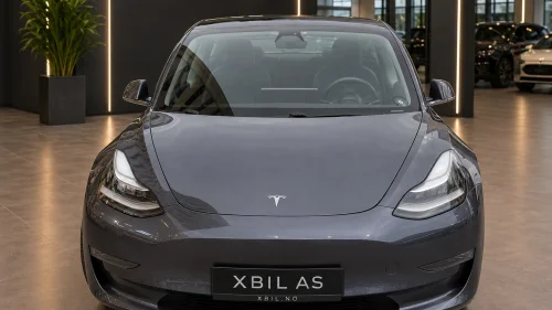 TESLA Model 3 Long Range AWD/Autopilot /PREMIUM/
