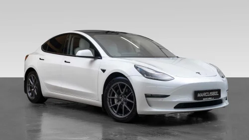 TESLA Model 3 FSD/autopilot