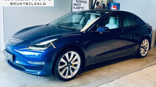 TESLA Model 3 LONG RANGE/PANO/SKINN/R.KAMERA/APP/NAVI/DAB+/++