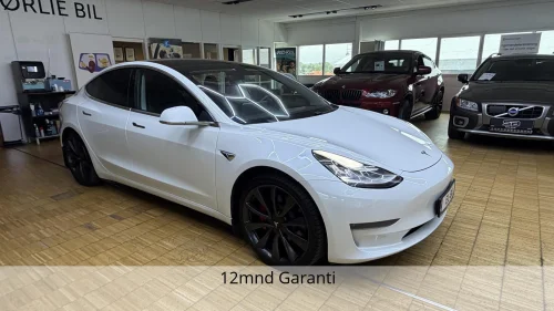 TESLA Model 3 Performance|2020Mod|Autopilot|Panorama|Skinn
