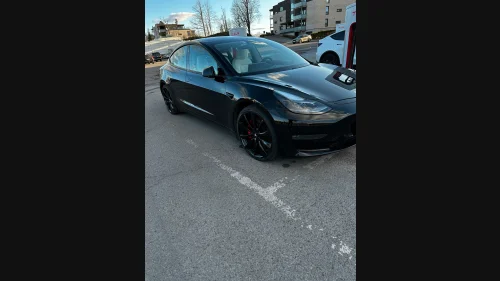TESLA Model 3 Performance