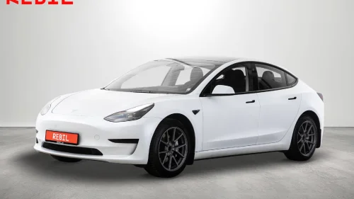 TESLA Model 3 448Km (WLTP) SR+/Navi/Krok/Ryzen/R.kam/Skinn/V.Pumpe/AP