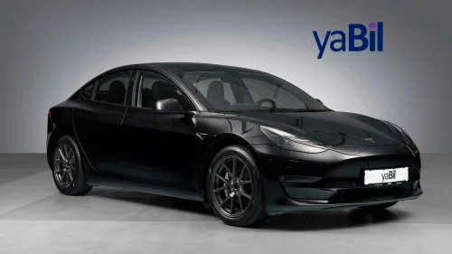 TESLA Model 3 Long Range AWD | 602 KM | Skinn | S+V