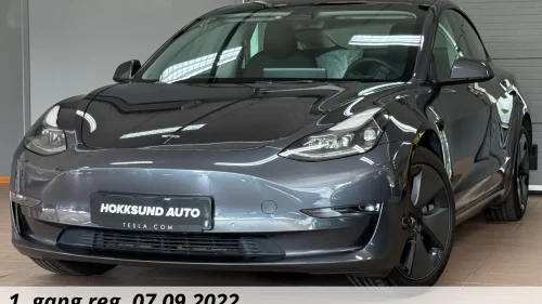 TESLA Model 3 Long range AWD 602KM /Autopilot / ACC / V.Pumpe / Ryzen