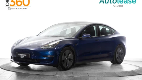 TESLA Model 3 Long Range AWD, Premium / V.Pumpe ++,