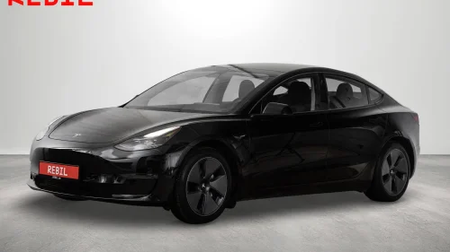 TESLA Model 3 602km (WLTP)/LR/AWD/Ryzen/Navi/R.kam/Pano/AP/V.pumpe