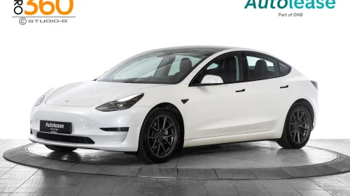 TESLA Model 3 Long Range AWD, Skinn ACC Navi Keyless +++,