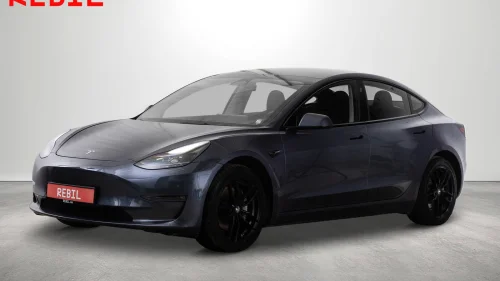 TESLA Model 3 602km (WLTP)/LR/AWD/Ryzen/Navi/R.kam/Pano/AP/V.pumpe