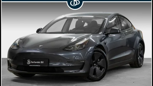 TESLA Model 3 LONG RANGE AWD / 600KM WLTP / SKINN / PANO / KROK