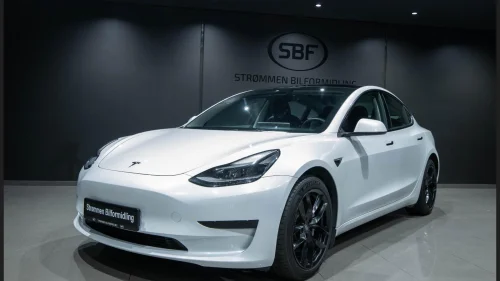 TESLA Model 3 448KM SKINN KAMERA / SOMMER/ VINTER/ EU 07/2027