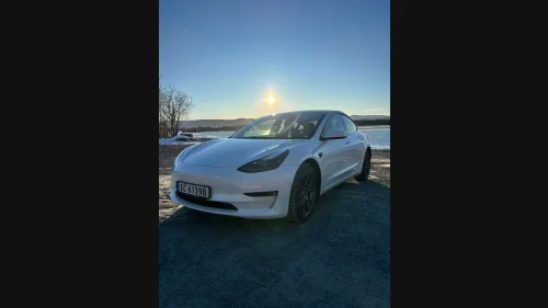 TESLA Model 3 Standard Range Plus, Ein eier. Skinn, AP, hengerfeste