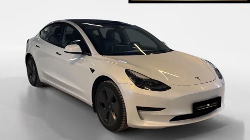 TESLA Model 3 Standard Range Plus/ Skinn/ Autopilot/ R.Kamera/ Navi