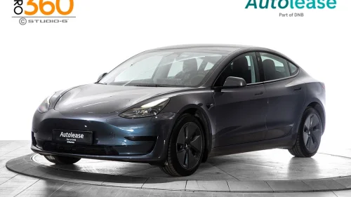 TESLA Model 3 Standard Range Plus RWD, ACC Navi Kamera Sensorer+,