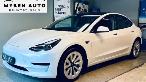 TESLA Model 3 Standard Range/ R.KAMERA / ACC / SKINN / SOLTAK / KROK