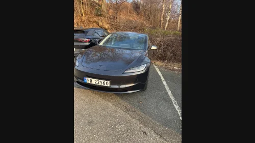 TESLA Model 3 RWD