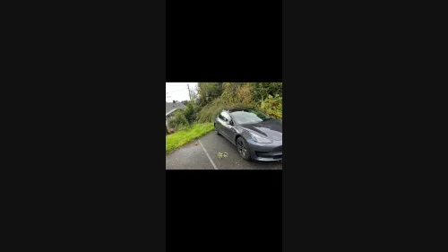TESLA Model 3 RWD 283hk