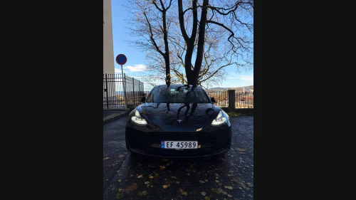 TESLA Model 3 Tesla Model 3