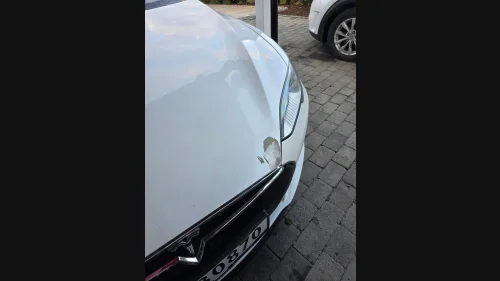 TESLA MOTORS MODEL S Performance