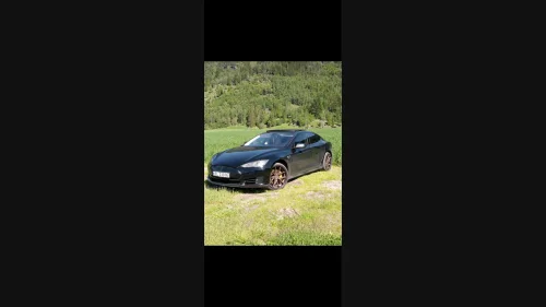 TESLA MOTORS MODEL S Performance