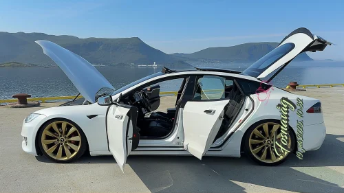 TESLA Model S 75D 4WD