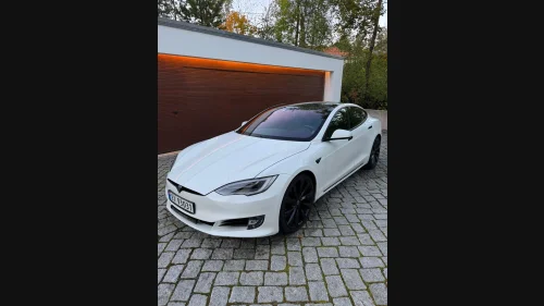 TESLA Model S Long Range Raven