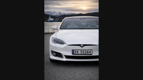 TESLA Model S 75D AWD Premium Luft/Autopilot/Skinn