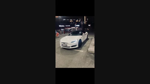 TESLA Model S MODEL S 193KW