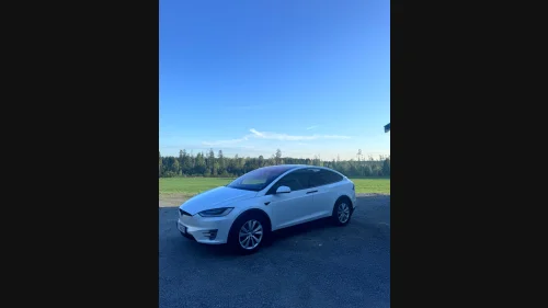TESLA Model X 75D 4WD 6-Seter / Chrome delete