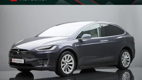 TESLA Model X PREMIUM SKINN HIFI VINTERPAKKE EAP MCU2 LUFT EU OK 2028