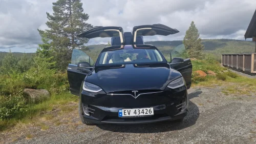 TESLA Model X 100D 4WD 5-s