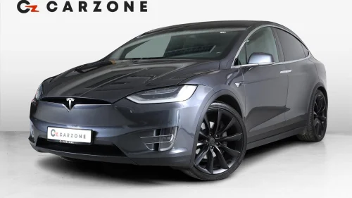 TESLA Model X LONG RANGE RAVEN/6S/AP/MCU2/SKINN/VINTER/HIFI/NAF TEST