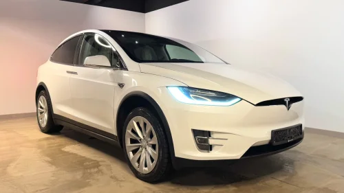 TESLA Model X Long Range Raven / Autopilot / MCU2 / CCS / Krok