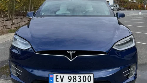 TESLA Model X 100D Raven 4WD 7-s