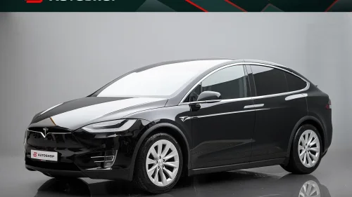 TESLA Model X LONG RANGE RAVEN SKINN PREMIUM VINTER HIFI NETFLIX CCS