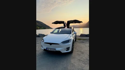 TESLA MOTORS Model X 100D 4WD 6-s